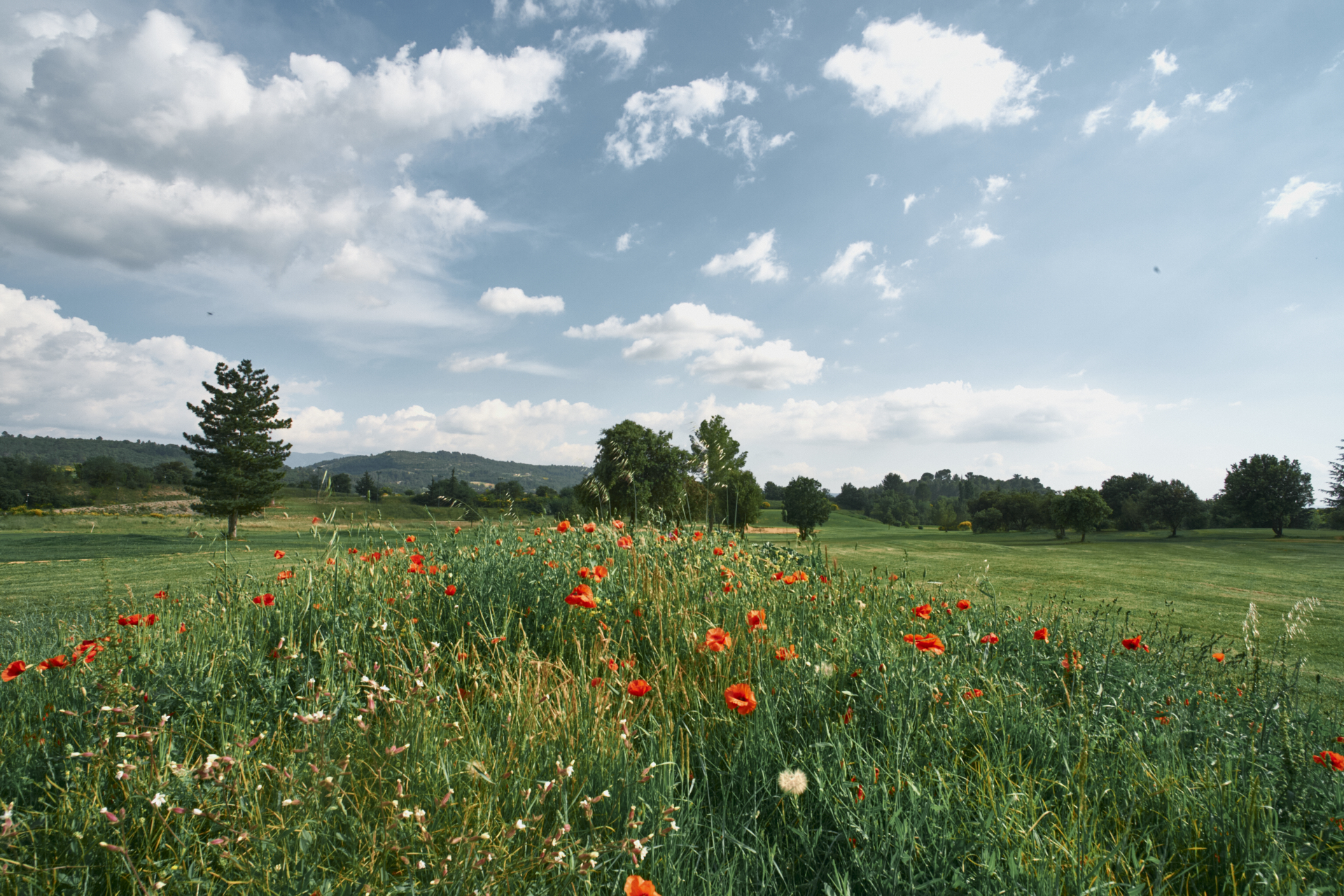 GOLF-DOMAINE-HAUTES_GARRIGUES_JUIN2024_18